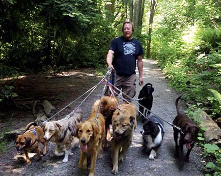 Kevin Pelletier walking a trail with a group of dogs.